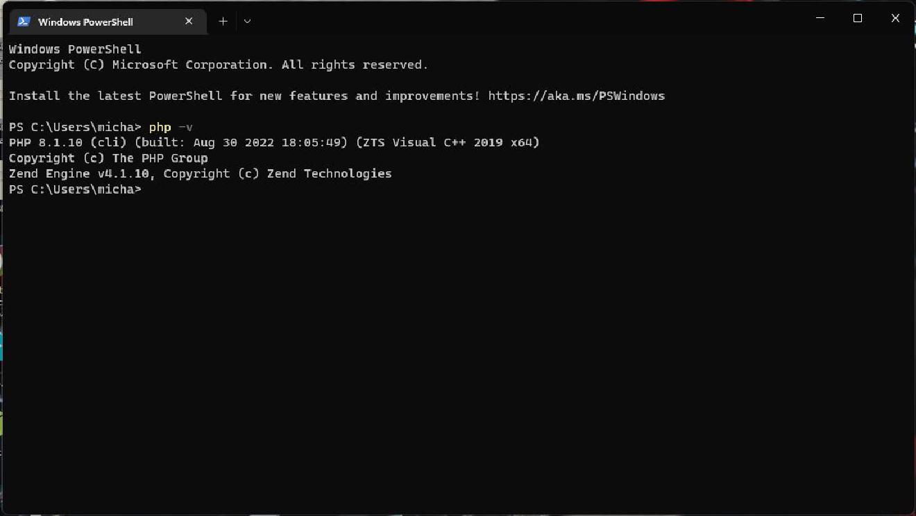 How to set up Laragon on a new Windows computer (part 6) - Add to path ...